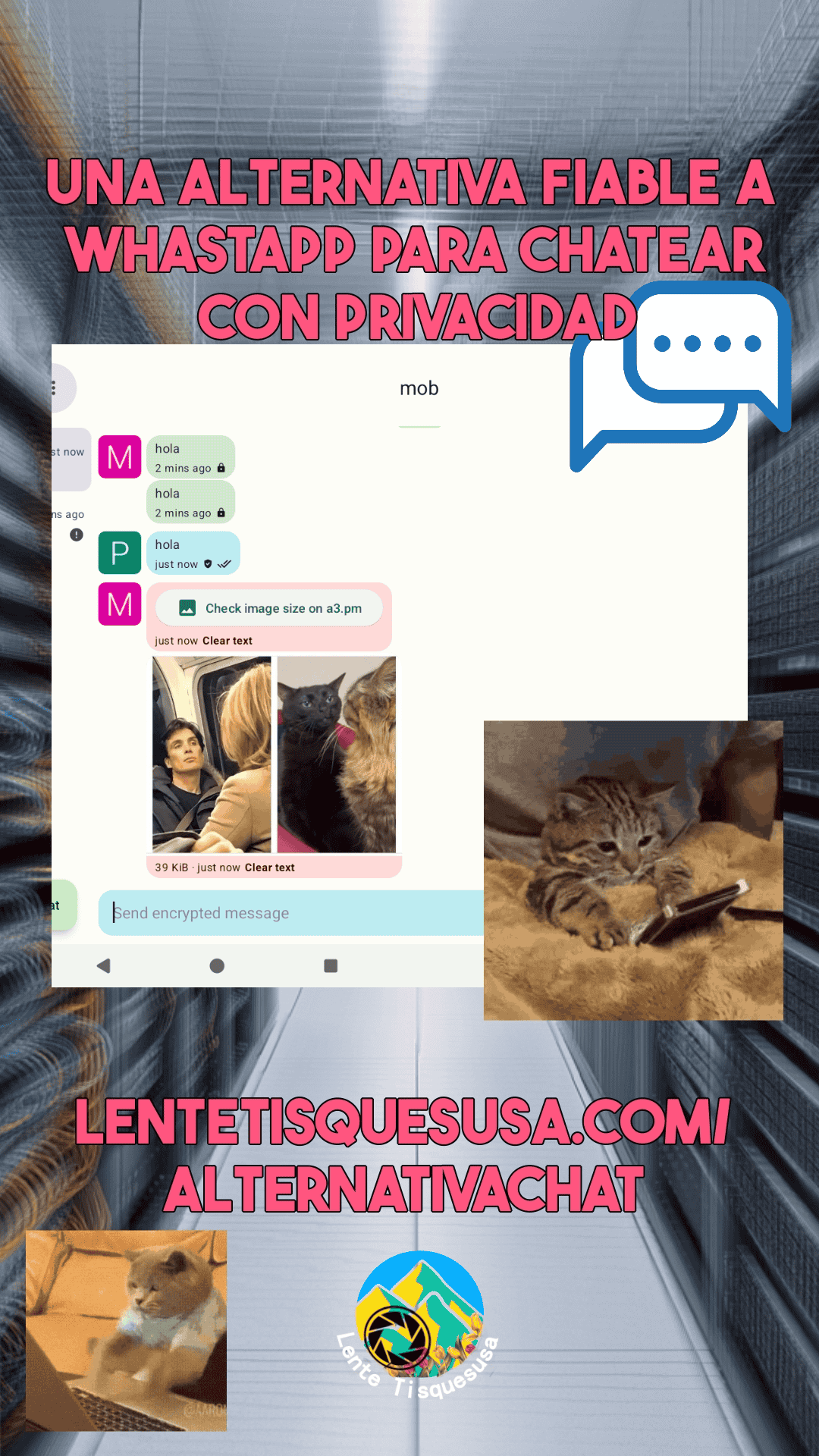 Una alternativa fiable a Whastapp para chatear con privacidad Una alternativa fiable a Whastapp para chatear con privacidad